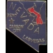 NEVADA PIN NV STATE SHAPE PINS